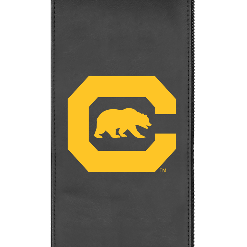 California Golden Bears Wordmark Logo Panel