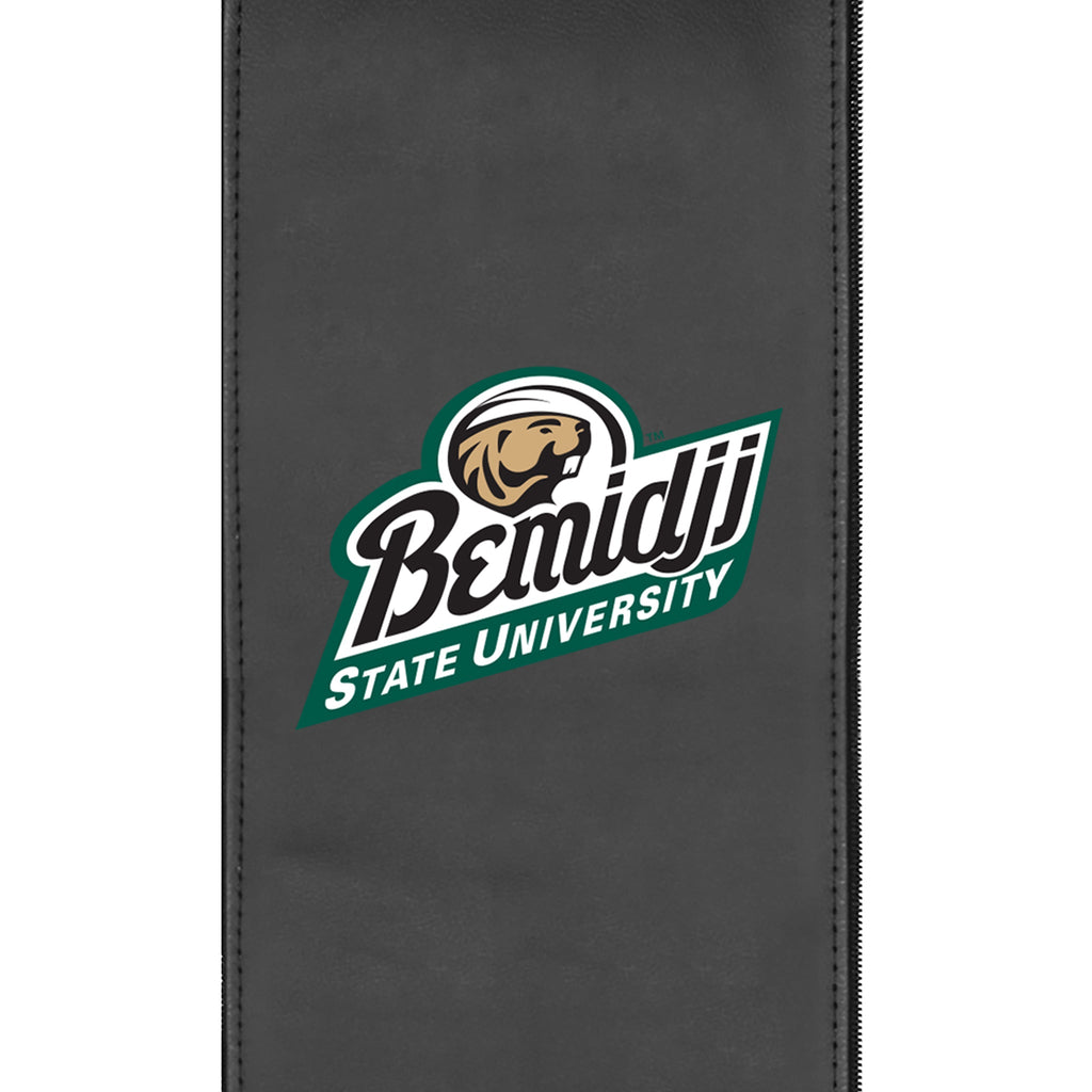Bemidji State University Secondary Logo Panel