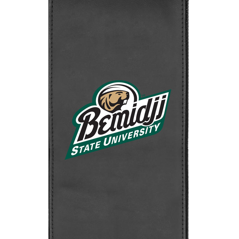 Bemidji State University Primary Logo Panel